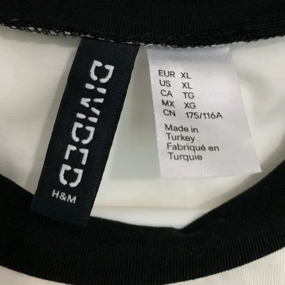 H&M Cropped Ontario Ringer Tee - Picture 4 of 7